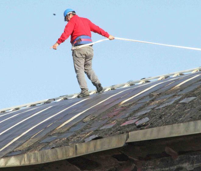Rogo nell’azienda di prodotti agricoli 