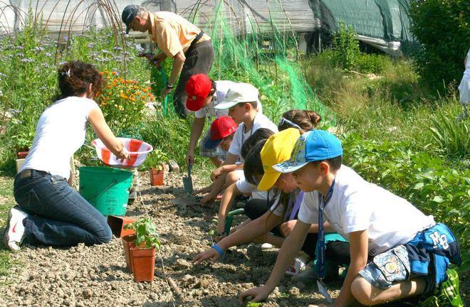 A Terraviva i bambini a lezione di agricoltura