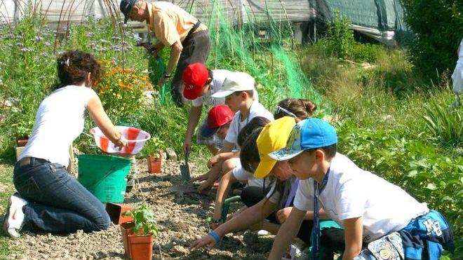A Terraviva i bambini a lezione di agricoltura