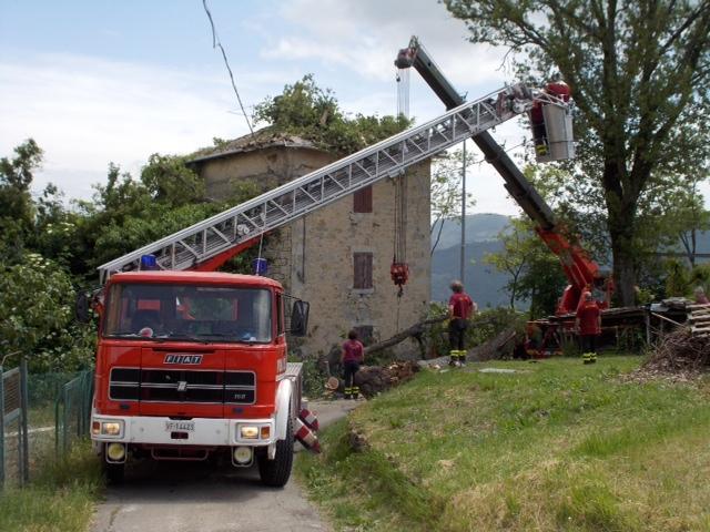 Vento di burrasca, quercia cade su una casa 