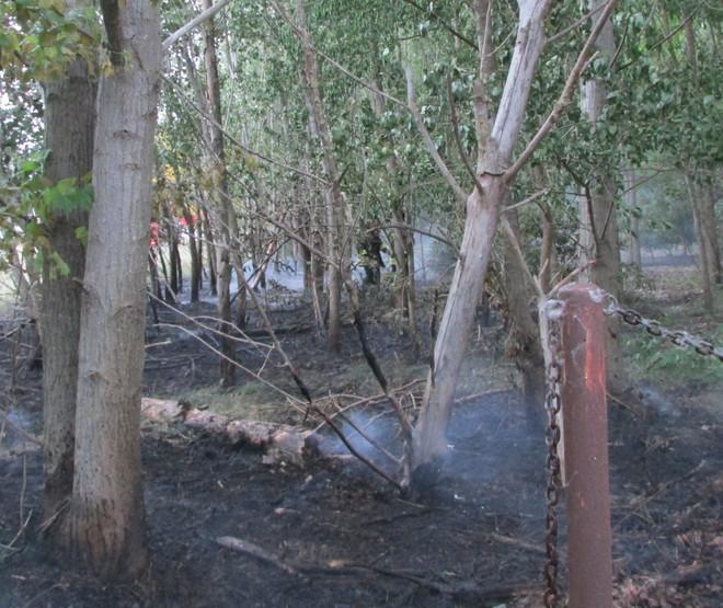 Paura a S. Giuseppe Rogo di sterpaglie vicino alle case