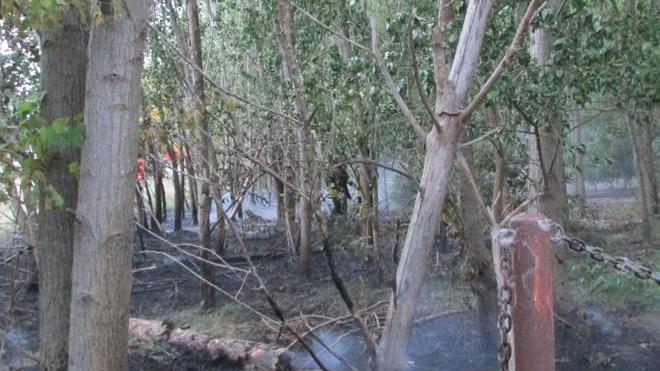 Paura a S. Giuseppe Rogo di sterpaglie vicino alle case