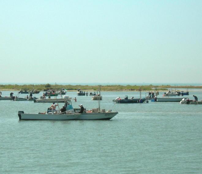 Le cooperative finanziano i lavori 