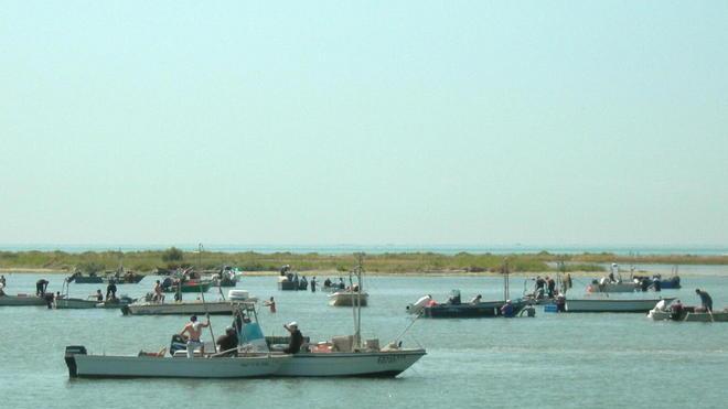 Le cooperative finanziano i lavori