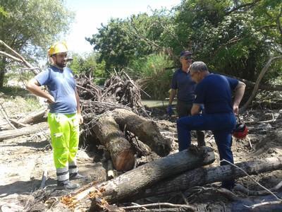 Detriti sul Tiepido, interviene la Protezione Civile 