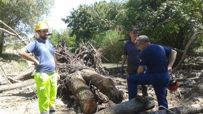 Detriti sul Tiepido, interviene la Protezione Civile