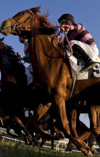 La giornata del Rotary all’ippodromo di Chilivani 