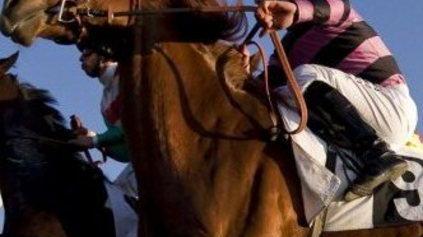 La giornata del Rotary all’ippodromo di Chilivani