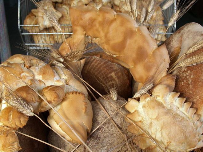 Con Manosinpasta cultura e buon cibo 