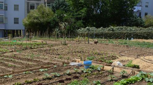 Nuova vita con la terra