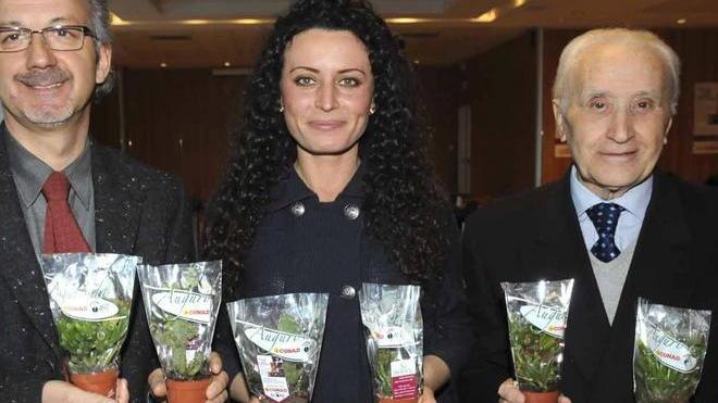 Scomparso William Arletti