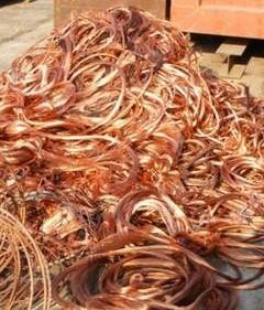 Al setaccio rottamai e campi nomadi