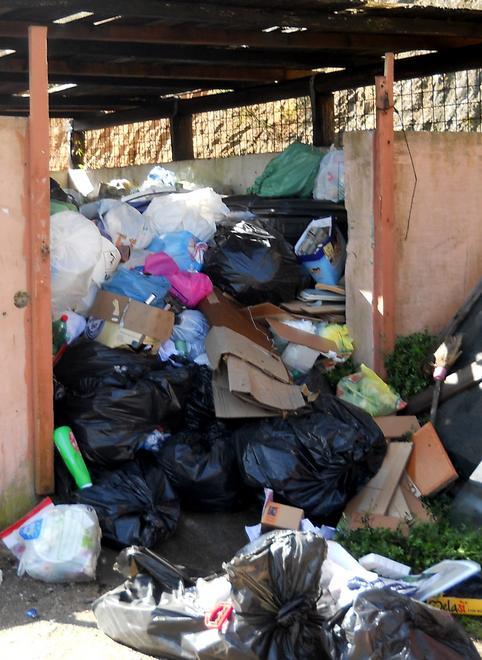 Cassonetto selvaggio, denunciati in otto 