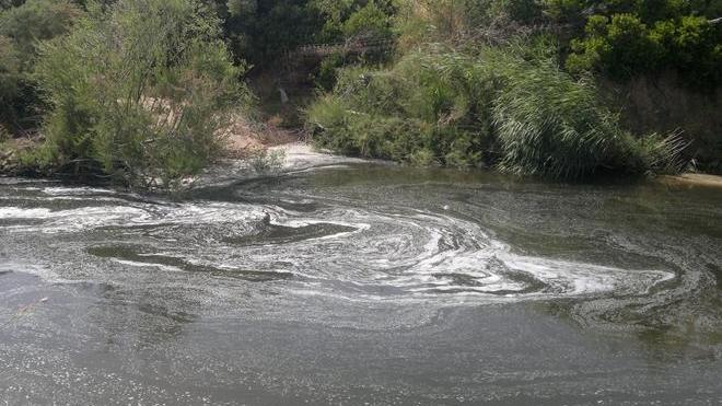 Il Loddone inquinato, caccia ai responsabili del danno ambientale