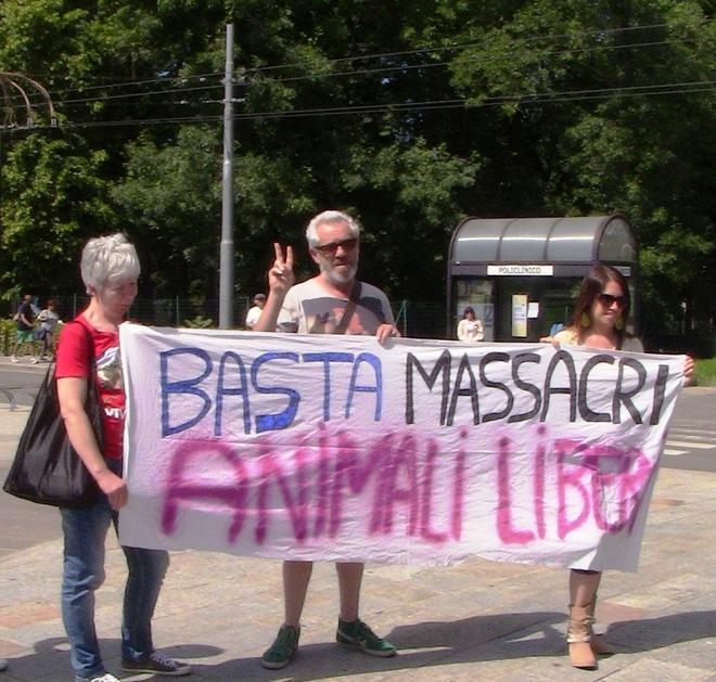 «È tutto in regola e controllato»