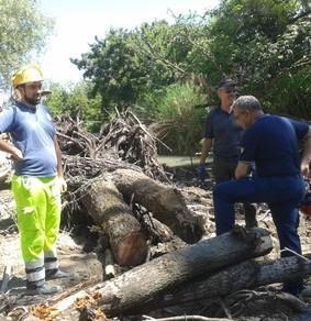 Torrente Tiepido, via il tappo formato da tronchi e rami