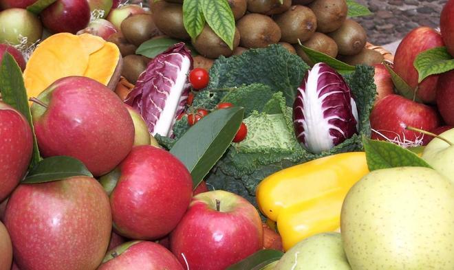 Vola l’export agroalimentare 