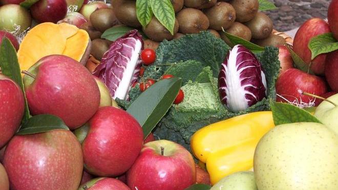 Vola l’export agroalimentare