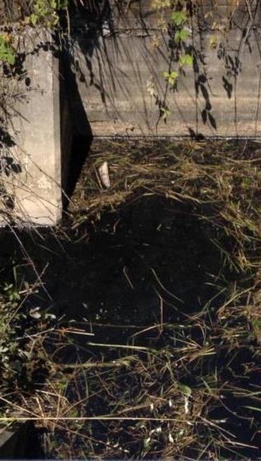 Acqua nera nei fossi, allarme a Gazzata 