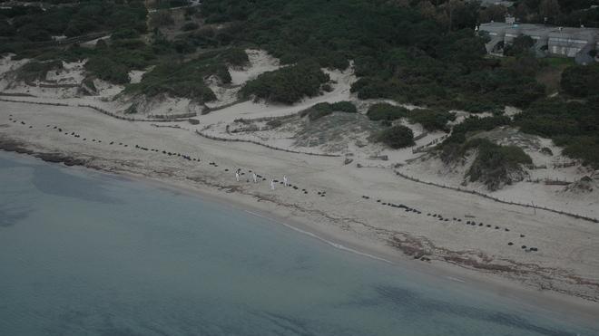 Marea nera nel golfo dell’Asinara: condotta a terra causò il disastro 