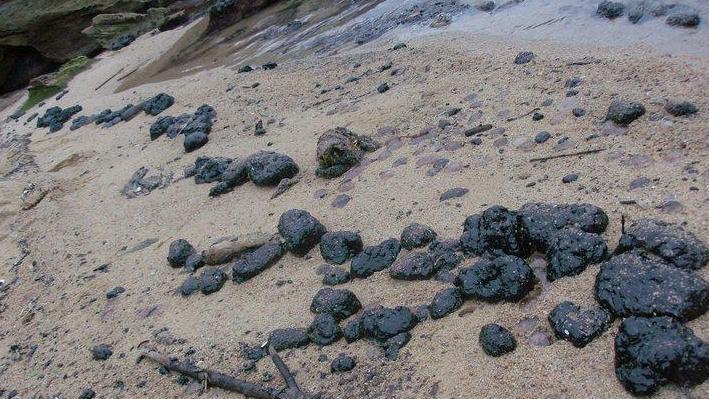 «Disastro causato dalla condotta a terra» 