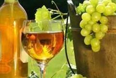 Domani torna “Vinisole” con degustazioni sardo-corse