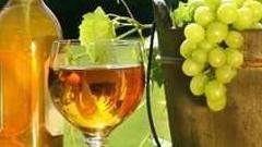 Domani torna “Vinisole” con degustazioni sardo-corse