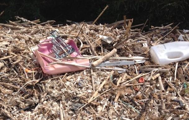 Rifiuti dalla spiaggia alla discarica abusiva 