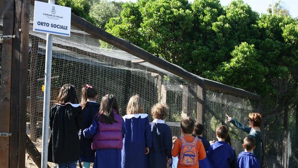 L’orto sociale conquista i piccoli alunni