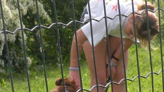 Un progetto al canile contro la dispersione scolastica