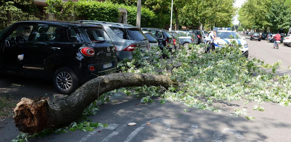 Ramo di otto metri si schianta su un’auto 