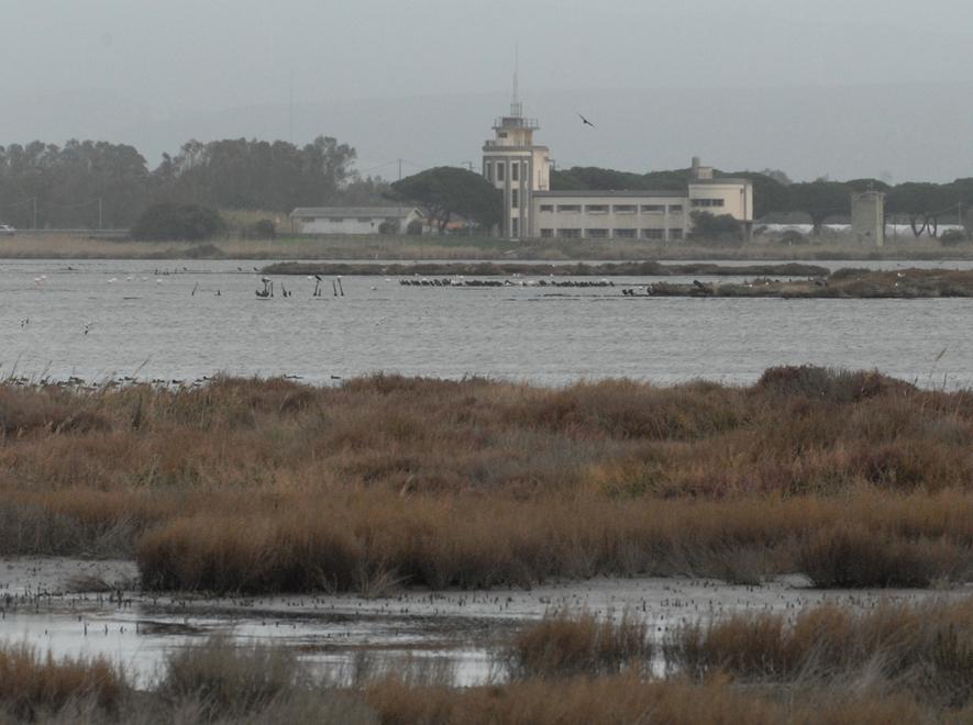 Se la promozione turistica parte dal basso 