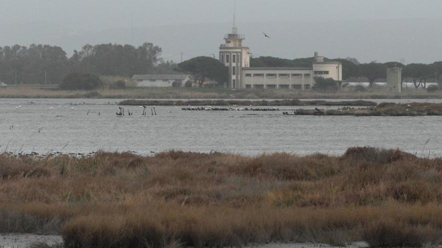 Se la promozione turistica parte dal basso