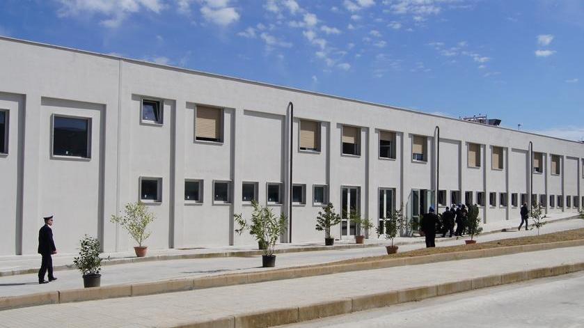 Crescerà in carcere l’albero di Pietro