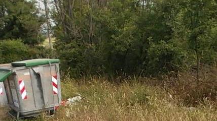 Ancora rifiuti abbandonati sulla strada provinciale