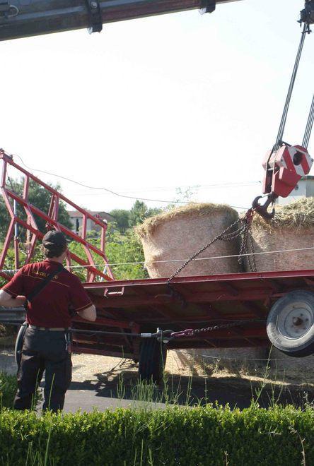 Carico di rotoballe si rovescia percorrendo la rotatoria