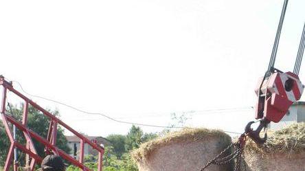 Carico di rotoballe si rovescia percorrendo la rotatoria