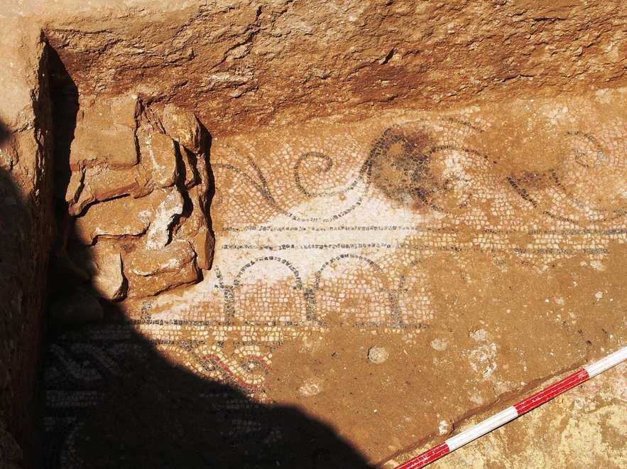 Turris, dagli scavi spunta un nuovo mosaico 