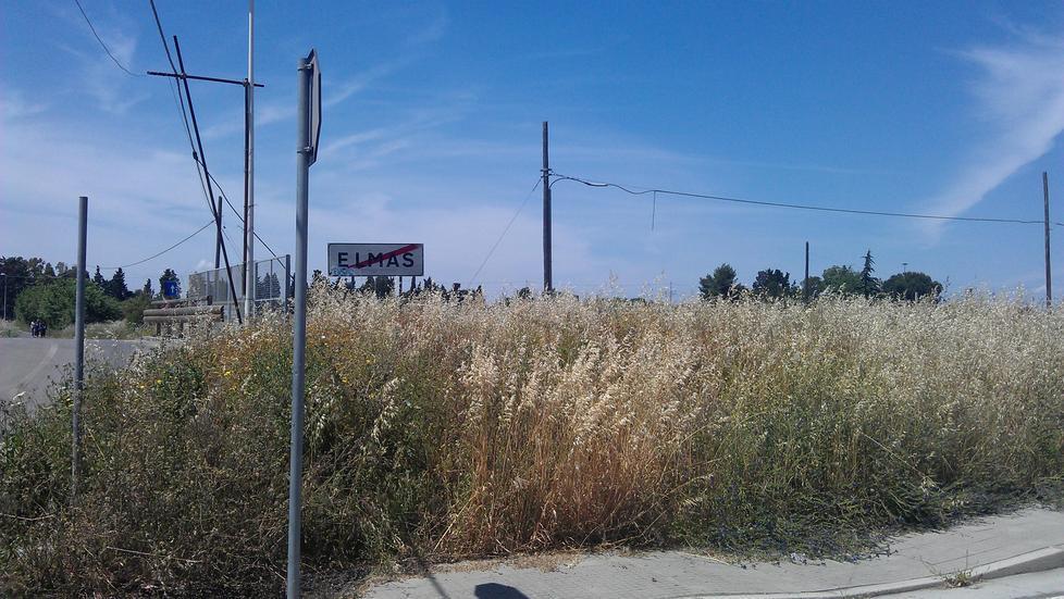 Terreni incolti in città, il sindaco ordina: i proprietari li puliscano 