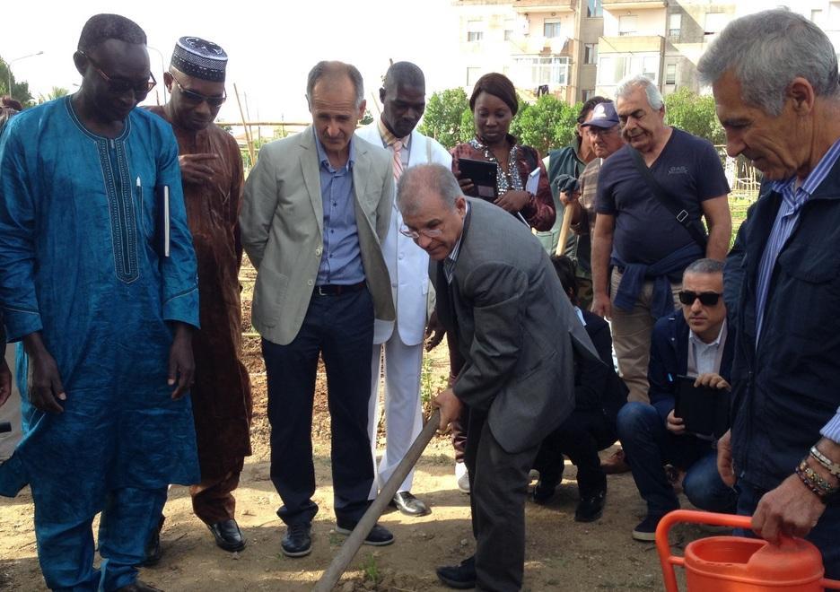 Successo degli orti urbani: ecco l’agricoltura sociale 