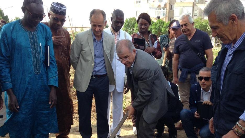 Successo degli orti urbani: ecco l’agricoltura sociale