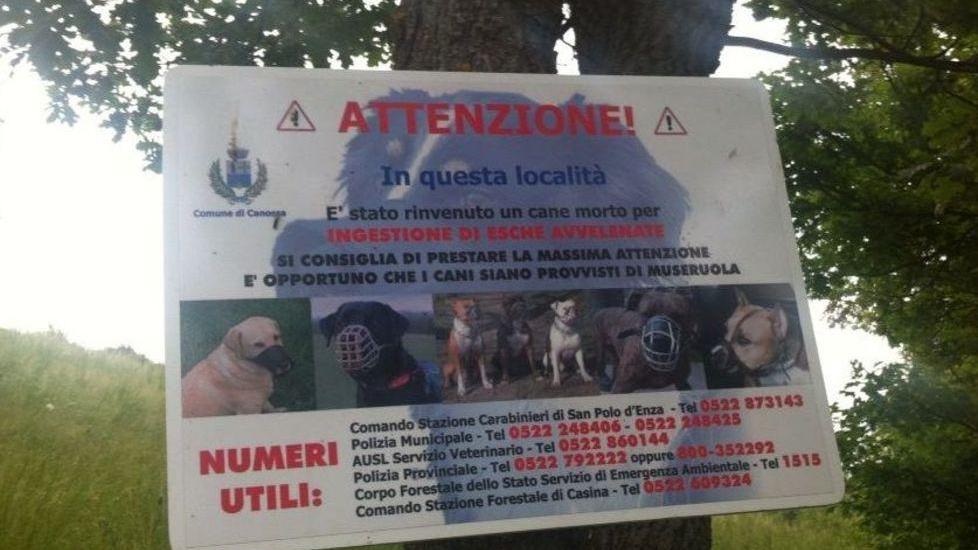 Scatta l’allarme esche avvelenate