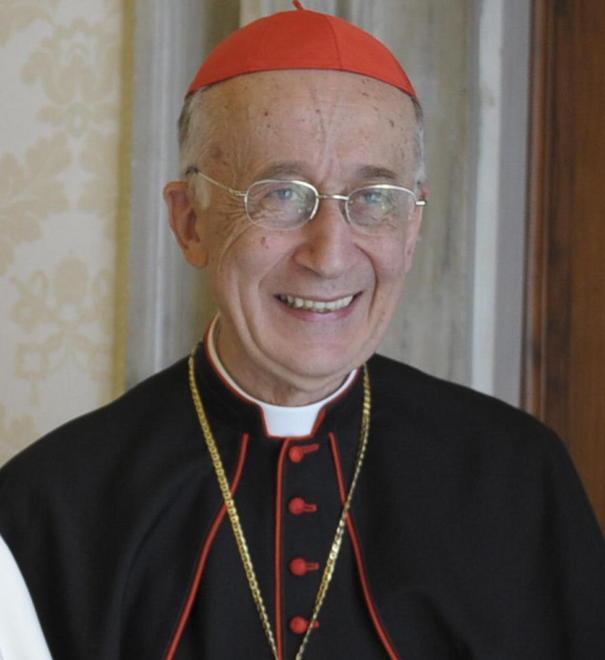 San Vincenzo in festa con Ruini