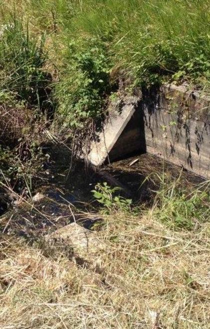 Acque nere, colpa dell’impianto a biogas 