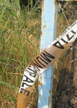 Fiamme alla colonia felina Piromani ancora in azione 