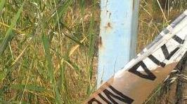 Fiamme alla colonia felina Piromani ancora in azione