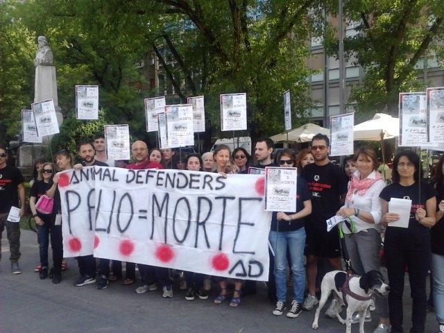 Gli animalisti contro il Palio e i fantini 