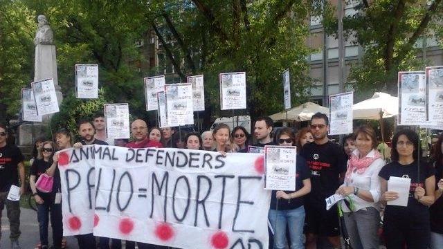 Gli animalisti contro il Palio e i fantini