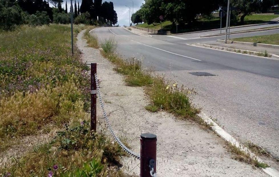 Erba alta in varie zone della città 