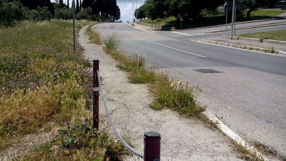 Erba alta in varie zone della città